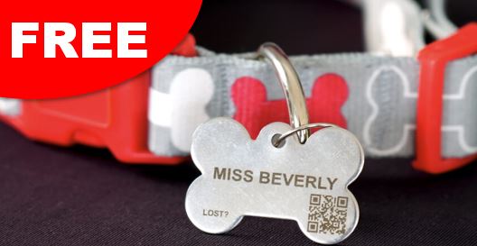 free pet tag fido