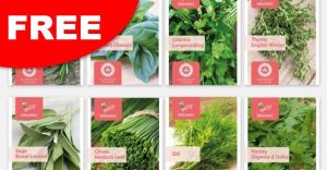 free buzzy seeds
