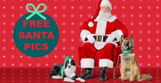 pet santa pics for pets