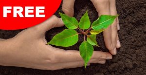 free gabby wild plantable seed paper