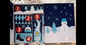 free wawa advent calendar