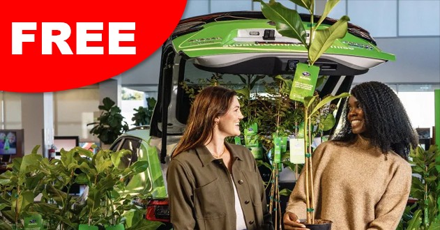 free tree subaru arbor day foundation